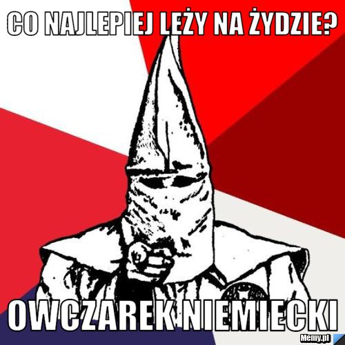 Co najlepiej leży na żydzie? Owczarek niemiecki