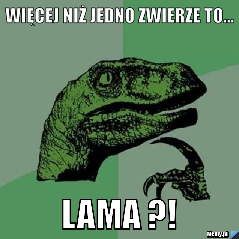 Więcej niż jedno zwierze to... lama ?!