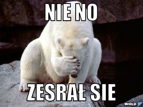 Nie no zesrał sie