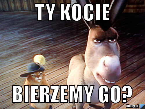 Ty kocie bierzemy go?