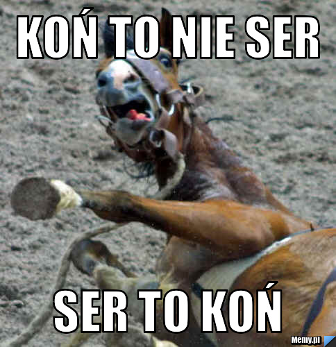Koń to nie ser ser to koń
