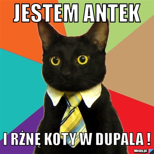 JESTEM ANTEK  i rżnę koty w dupala ! 