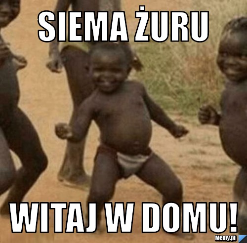Siema żuru witaj w domu!
