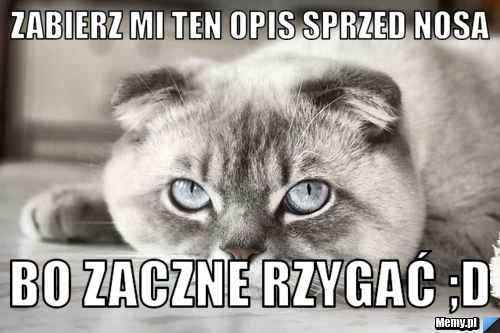 Zabierz mi ten opis sprzed nosa bo zaczne rzygać ;D 