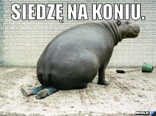 Siedzę na koniu. 