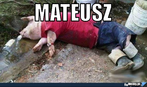 Mateusz 