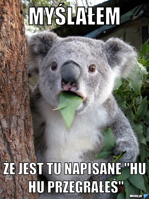 Myślałem Że jest tu napisane "hu hu przegrałeś"