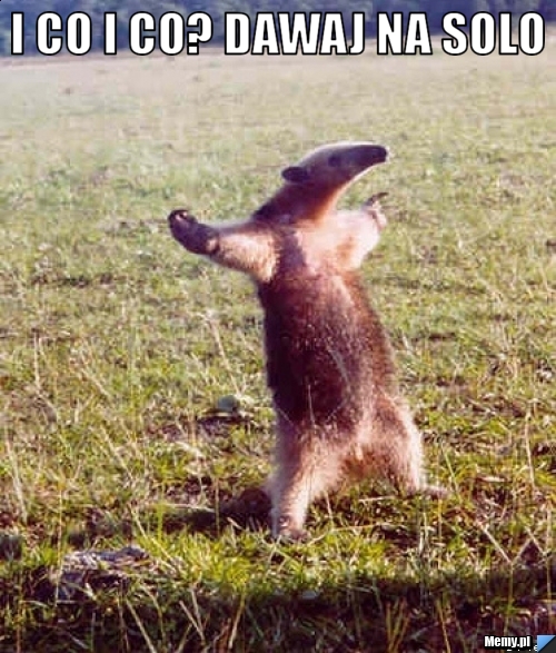 I co i co? dawaj na solo  