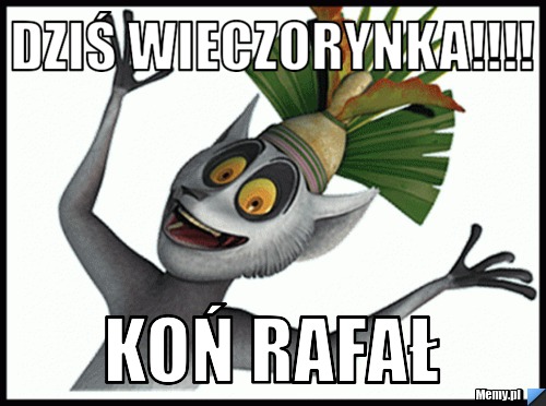 Dziś wieczorynka!!!! koń rafał 