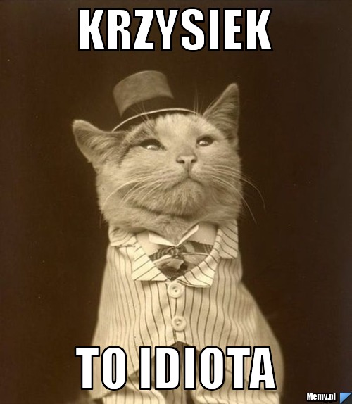 Krzysiek  To idiota