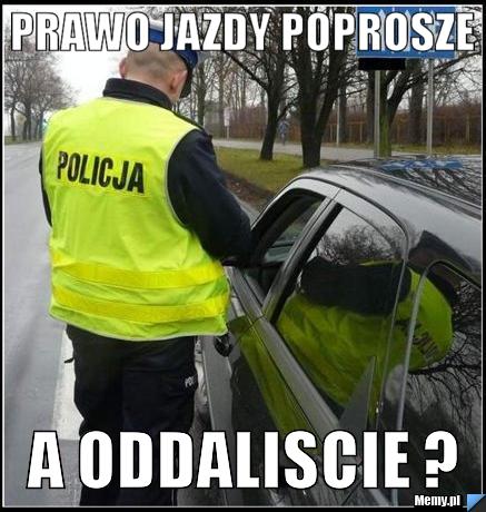 Prawo jazdy poprosze a oddaliscie ?