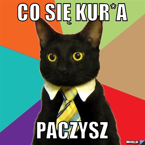 Co się kur*a paczysz