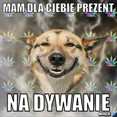 Mam dla ciebie prezent na dywanie
