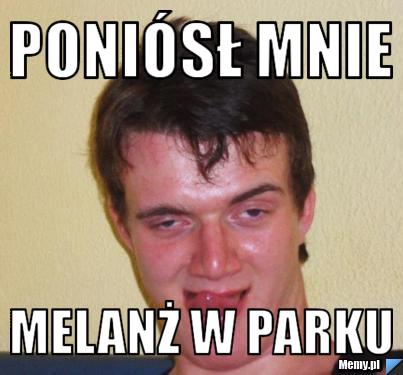 Poniósł mnie melanż w parku