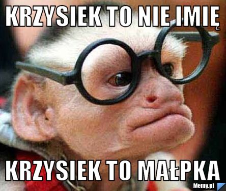 Krzysiek to nie imię Krzysiek to małpka