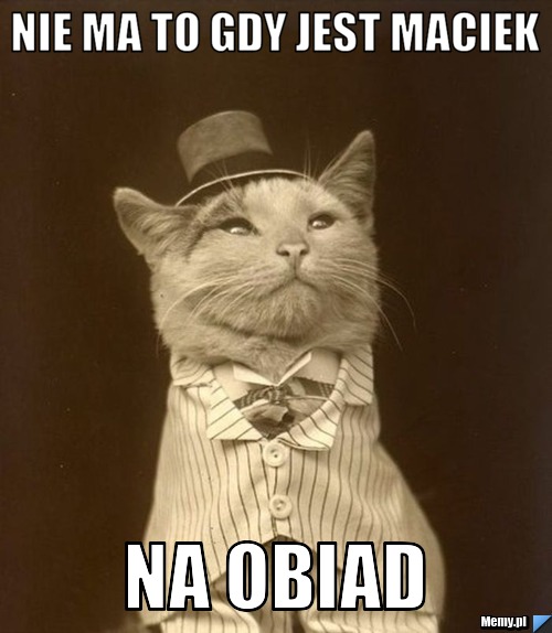 Nie ma to gdy jest maciek  na obiad