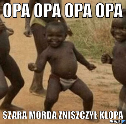 OPA OPA OPA OPA SZARA MORDA ZNISZCZYŁ KLOPA 