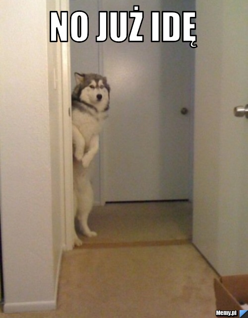 No już idę  