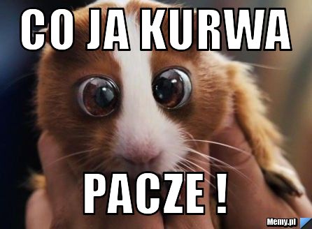 Co ja kurwa pacze ! 