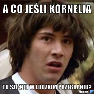 A co jeśli Kornelia  to szczur w ludzkim przebraniu?