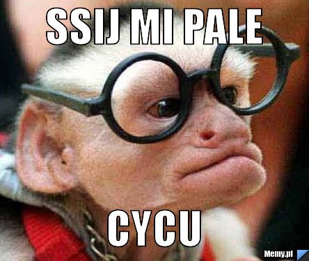 Ssij mi pale cycu