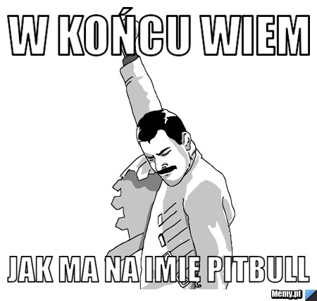 W końcu wiem  jak ma na imię Pitbull 