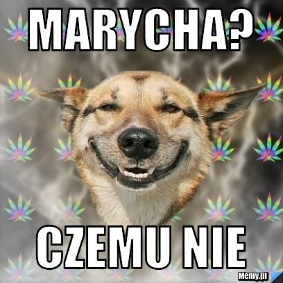 Marycha? czemu nie