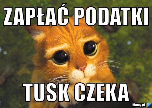 Zapłać podatki  tusk czeka 
