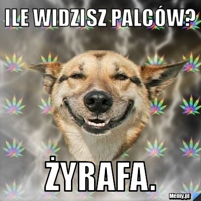 Ile widzisz palców? Żyrafa.