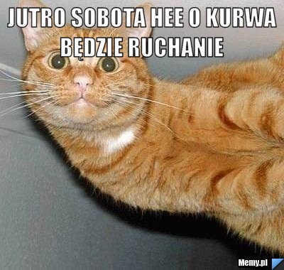 Jutro sobota hee o kurwa będzie ruchanie  