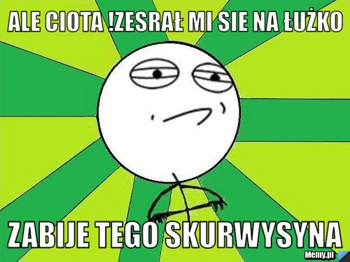 Ale ciota !zesrał mi sie na łużko zabije tego skurwysyna