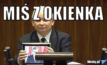 Miś z okienka 