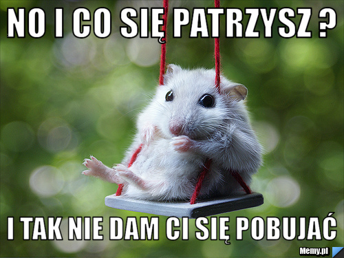 No i co się patrzysz ? i tak nie dam ci się pobujać