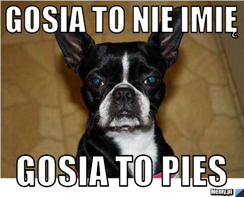 Gosia to nie imię Gosia to pies