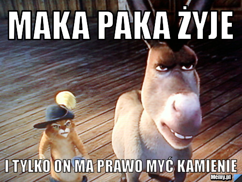 Maka paka żyje i tylko on ma prawo myć kamienie 