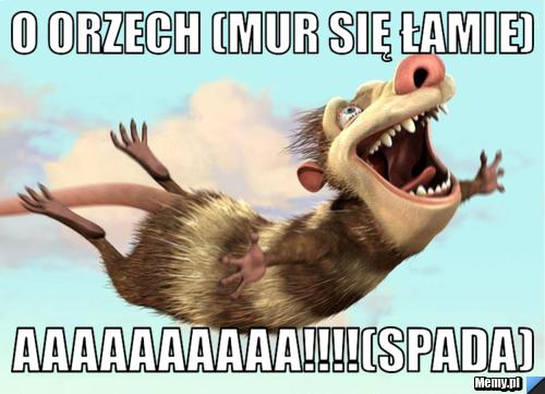 O orzech (mur się łamie) aaaaaaaaaa!!!!(spada)