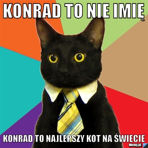 Konrad to nie imię  Konrad to najlepszy Kot na świecie 