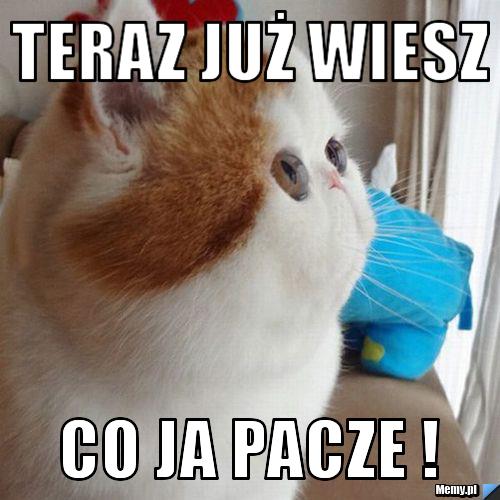Teraz już wiesz Co ja pacze !