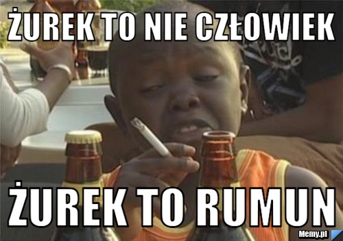 Żurek to nie człowiek Żurek to rumun