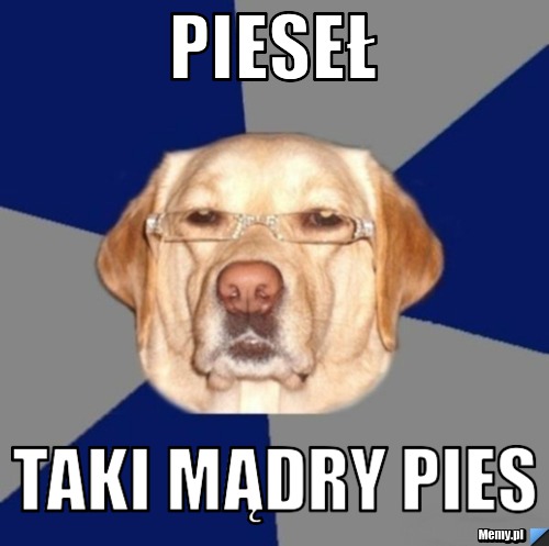 Pieseł taki mądry pies