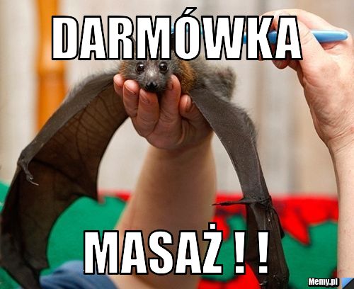 Darmówka  masaż ! ! 