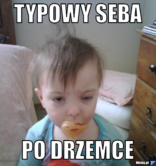 Typowy seba  po drzemce