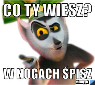 Co Ty wiesz? w nogach śpisz