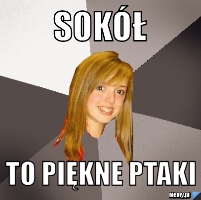 Sokół to piękne ptaki