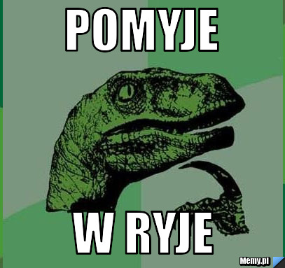 Pomyje w ryje