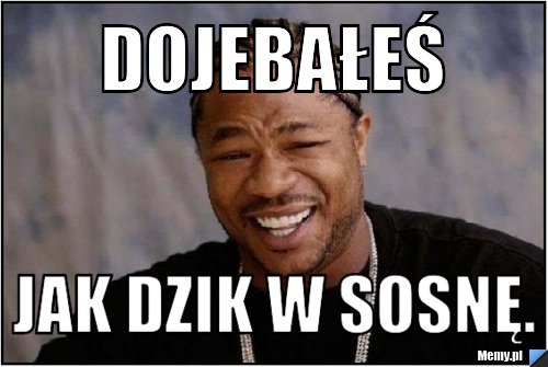 Dojebałeś Jak dzik w sosnę.