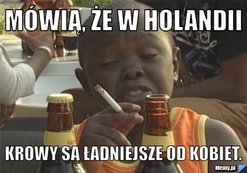 Mówią, że w holandii krowy są ładniejsze od kobiet.