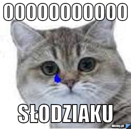 Ooooooooooo słodziaku