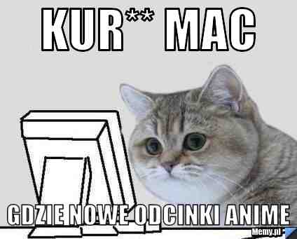 Kur** mac gdzie nowe odcinki anime
