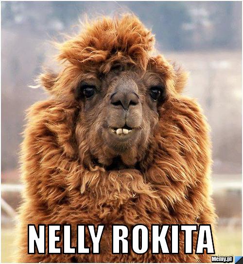  nelly rokita